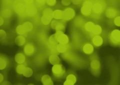 ¡Bienvenido/a a nuestra nueva página web!